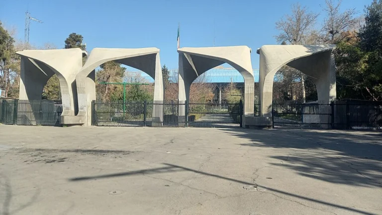 دانشگاه